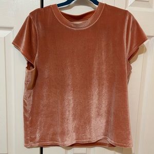 Madewell velvet T-shirt size XL